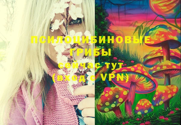 а пвп мука Ельня