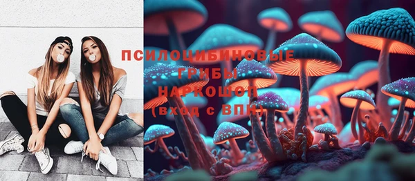 Альфа ПВП Елабуга