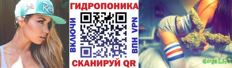наркотики Новошахтинск Канабис планчик
